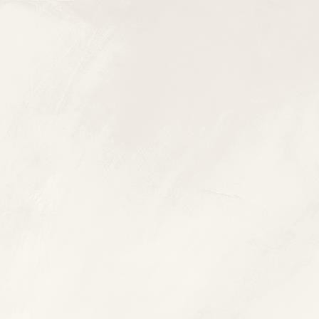 Blend DAA44805 45 x 45 плитка керамограніт білий RAKO
