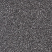 Taurus Granit TRM26069 20 x 20 плитка керамограніт чорний RAKO